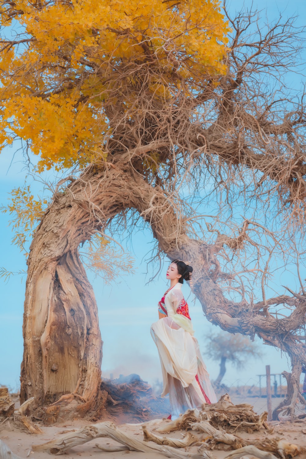 Coser@桜桃喵 惊鸿