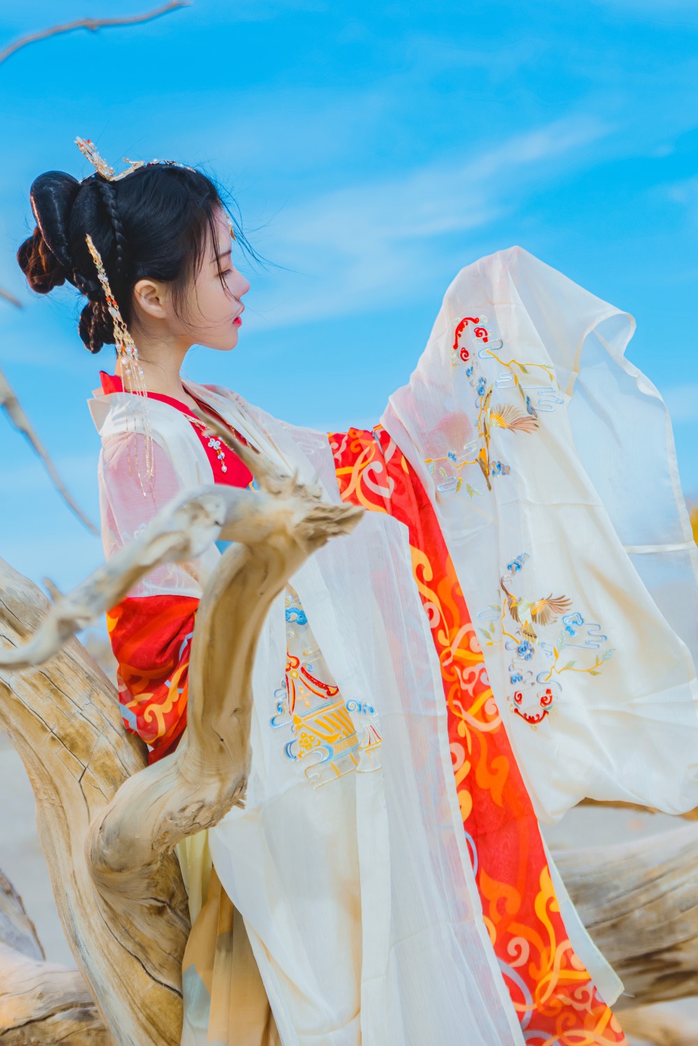Coser@桜桃喵 惊鸿