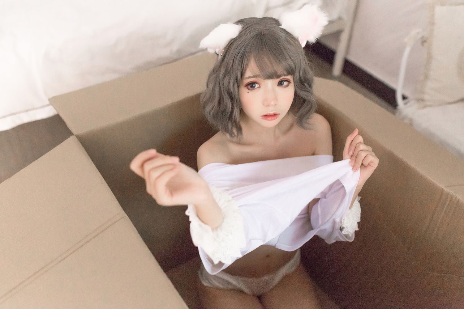 疯猫ss 白猫