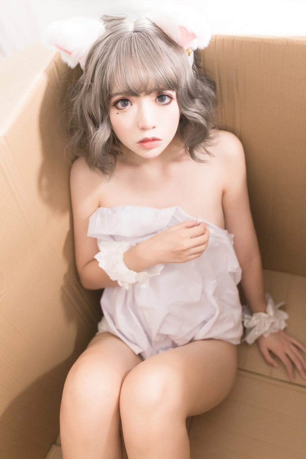 疯猫ss 白猫