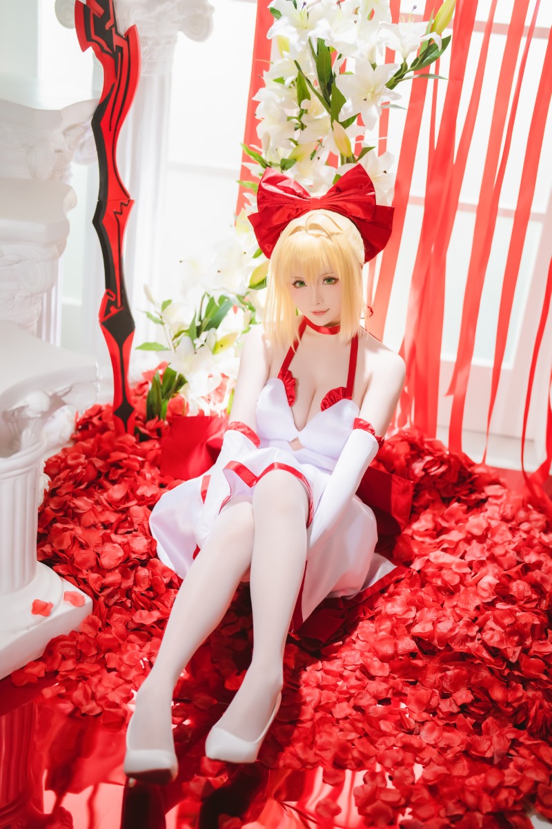 星之迟迟 6月 Fate 尼禄
