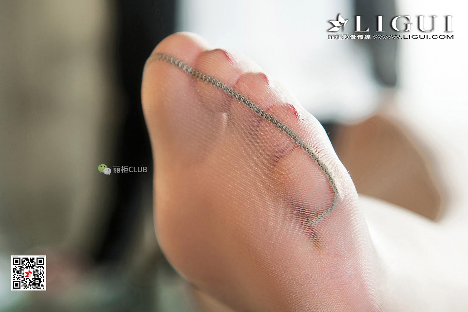 [Ligui丽柜] 2018.01.11 网络丽人 Model 媛宝