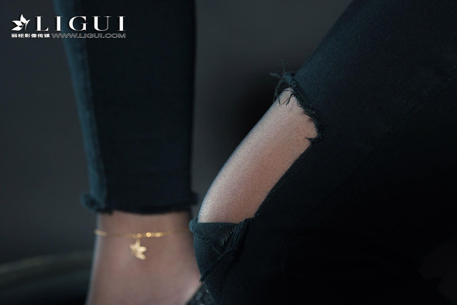 [Ligui丽柜] 2018.11.14 网络丽人 Model 赵维拉
