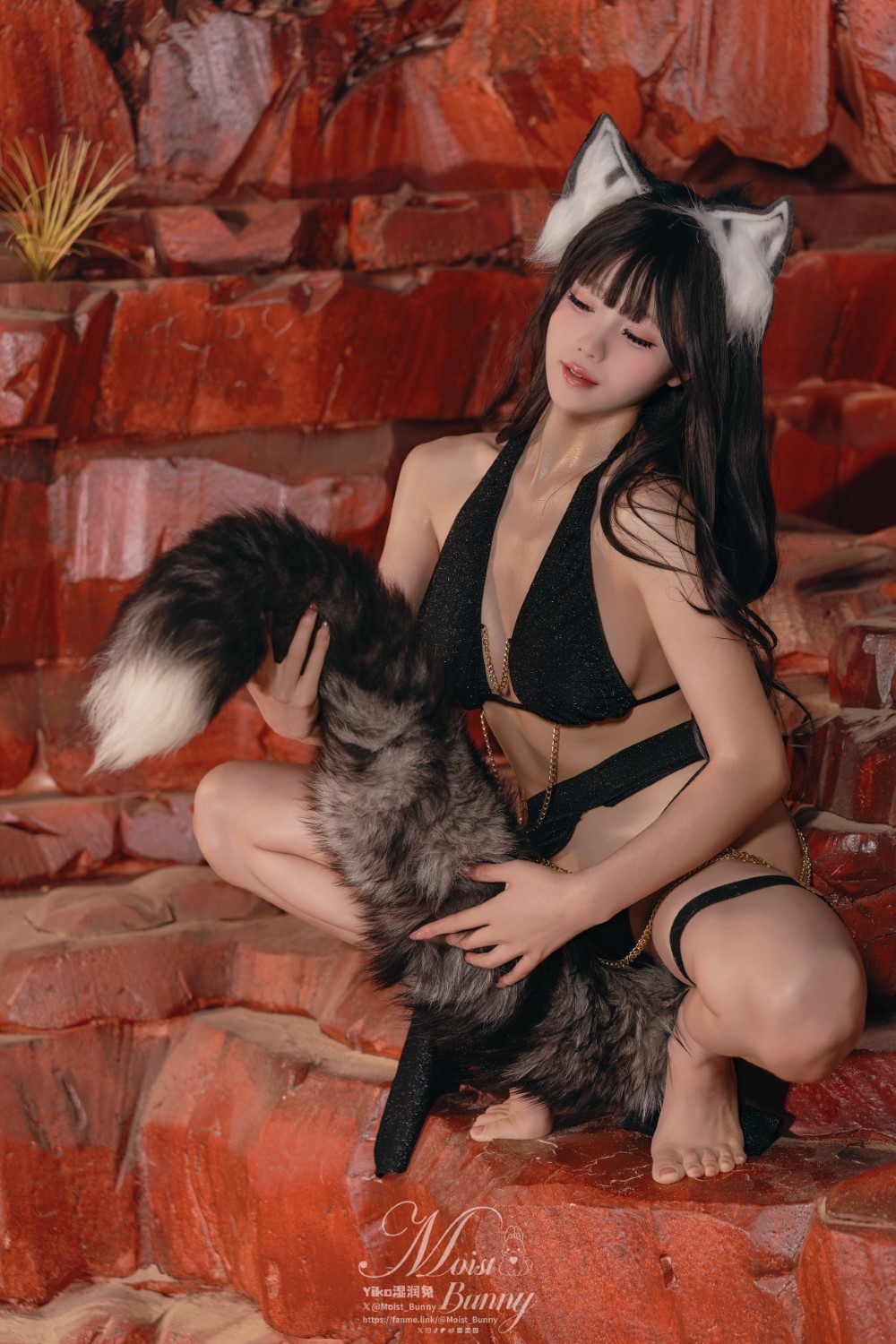 咬一口兔娘(黏黏团子兔) 十二月月票特典『狼的又惑』