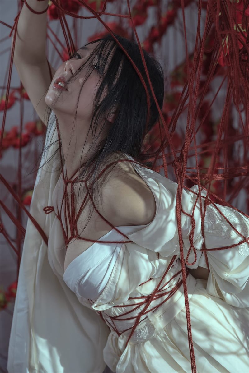 云溪溪 囚鸟